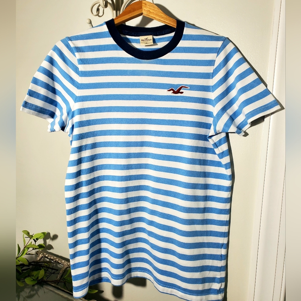 Young Men's Hollister Blue & White Striped Short Sleeve Medium Weight Tee Size L